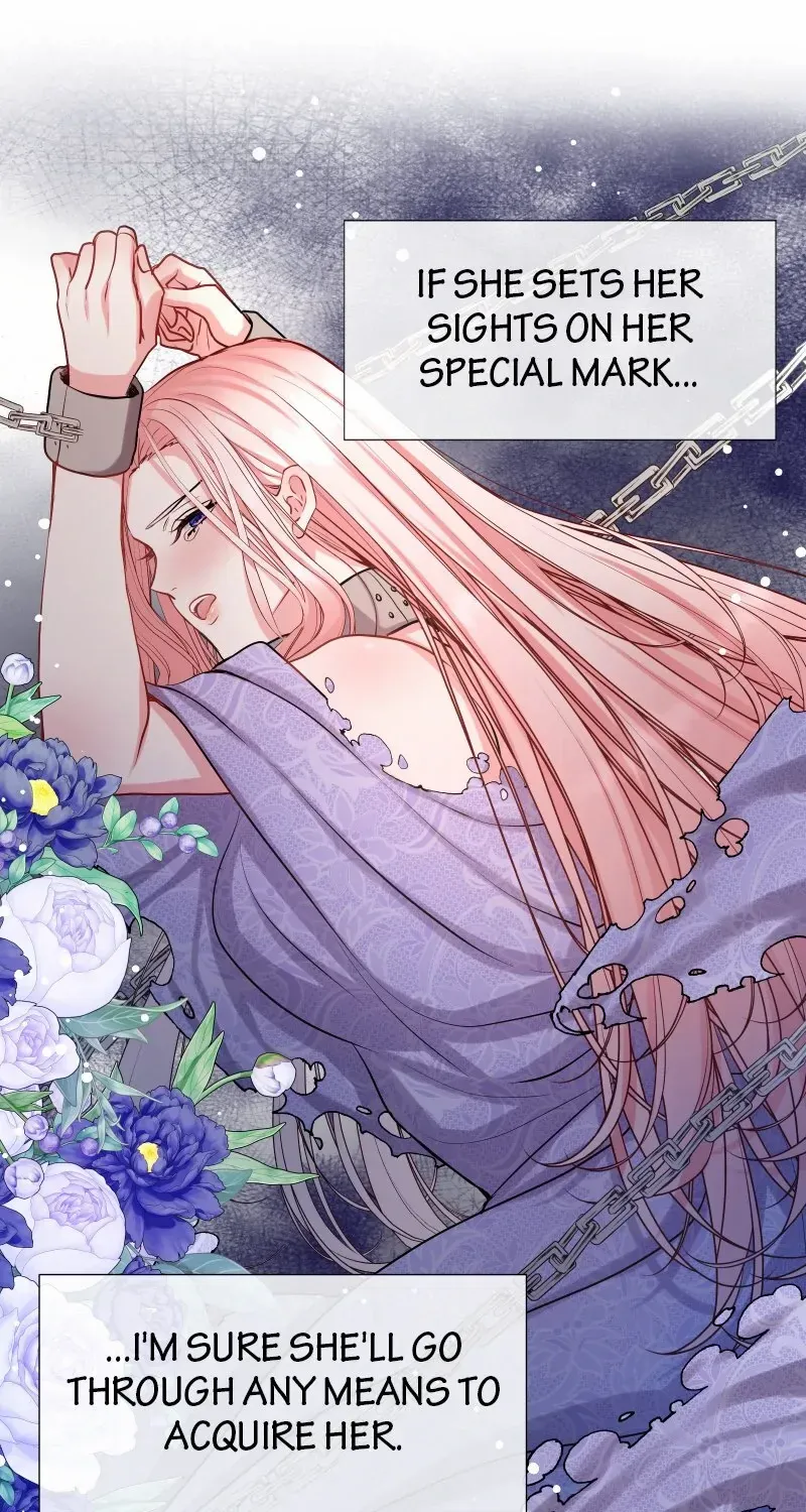 Read Once a Predator, Now a Sacrifice chapter 17 image 70 on Lezhin