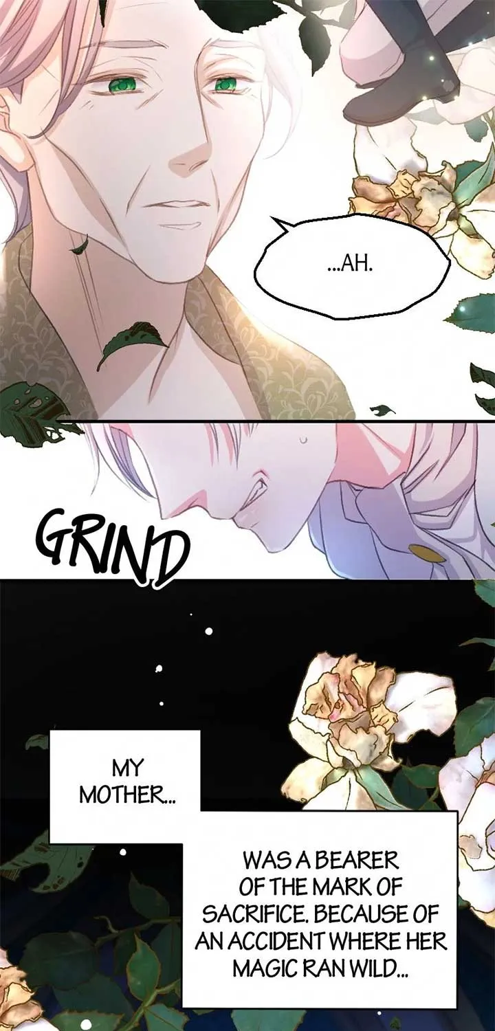 Read Once a Predator, Now a Sacrifice chapter 2 image 132 on Lezhin