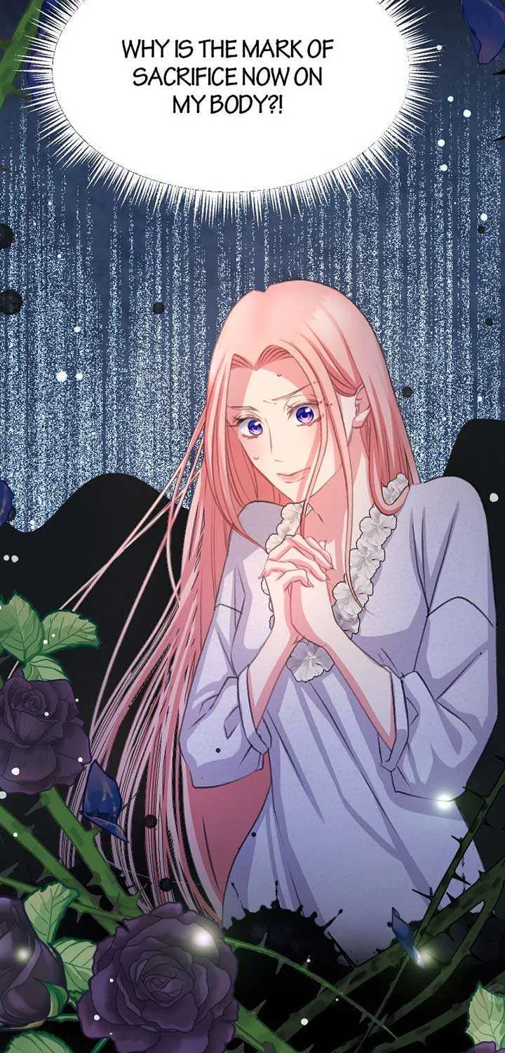 Read Once a Predator, Now a Sacrifice chapter 2 image 16 on Lezhin