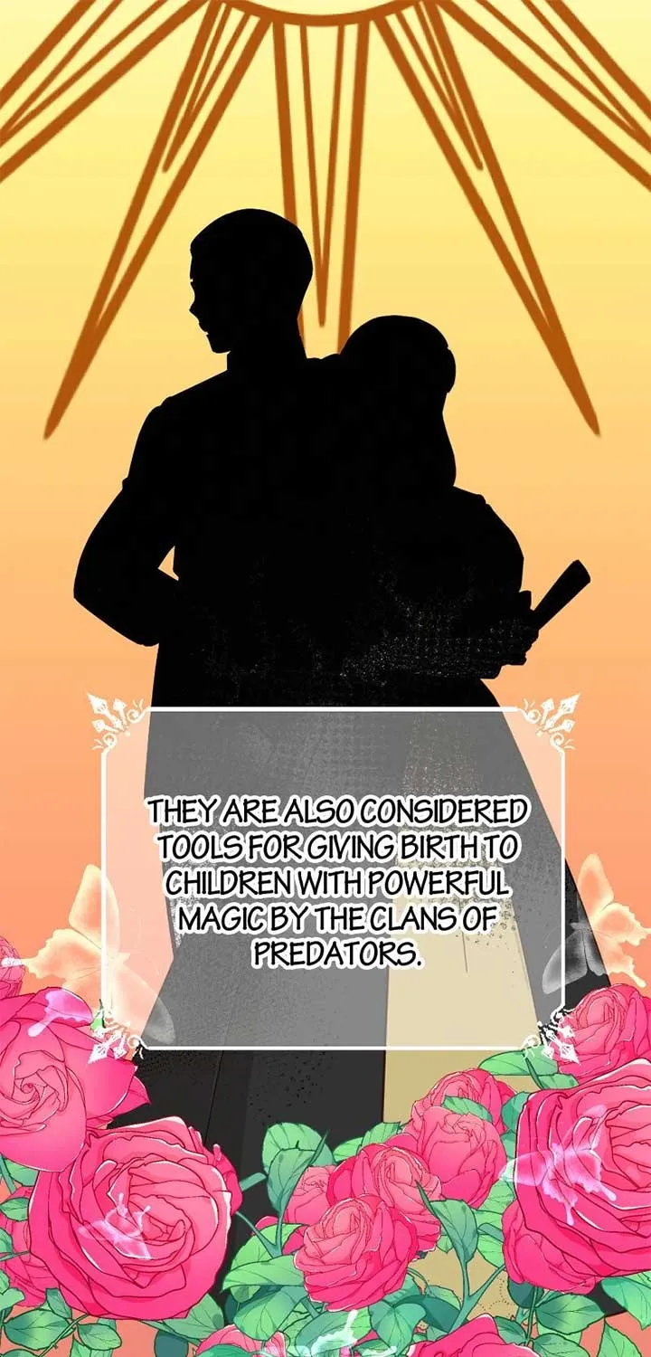 Read Once a Predator, Now a Sacrifice chapter 2 image 26 on Lezhin