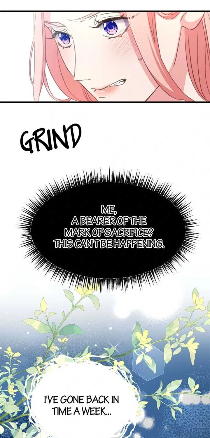 Read Once a Predator, Now a Sacrifice chapter 2 image 76 on Lezhin