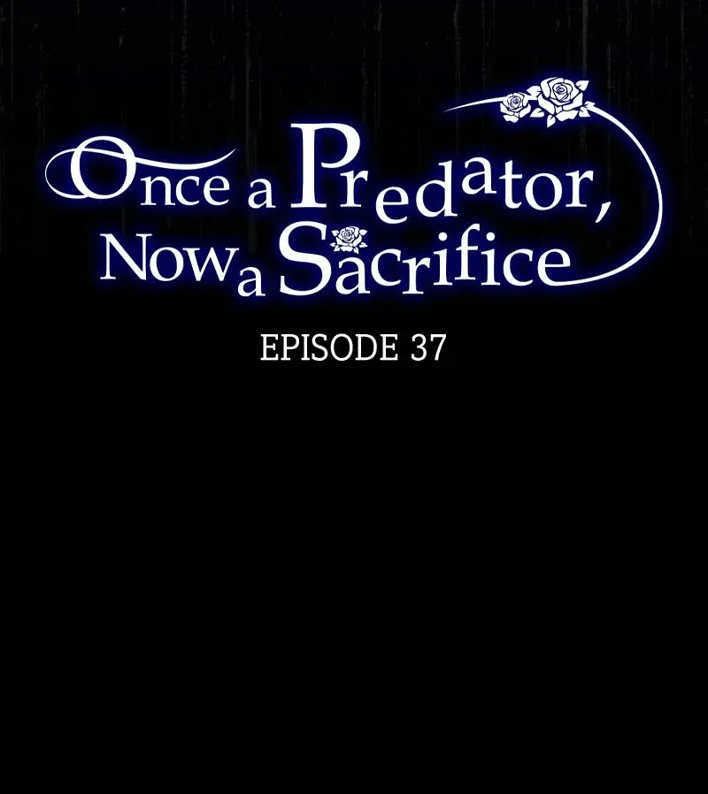 Read Once a Predator, Now a Sacrifice chapter 37 image 6 on Lezhin