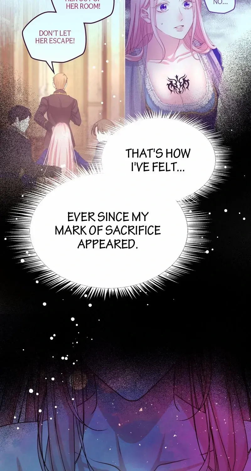 Read Once a Predator, Now a Sacrifice chapter 42 image 22 on Lezhin
