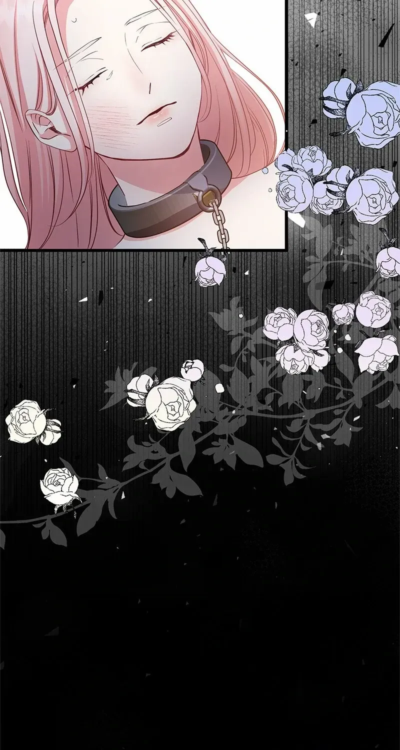 Read Once a Predator, Now a Sacrifice chapter 5 image 15 on Lezhin