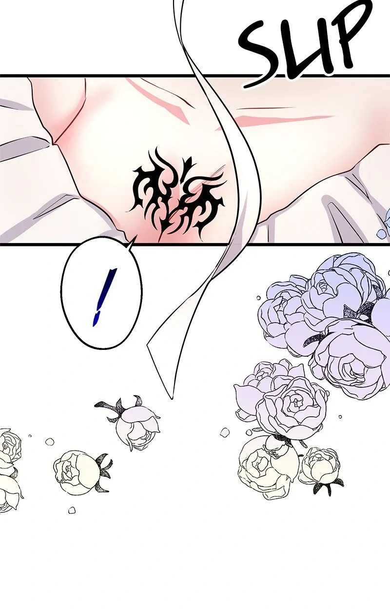 Read Once a Predator, Now a Sacrifice chapter 6 image 73 on Lezhin