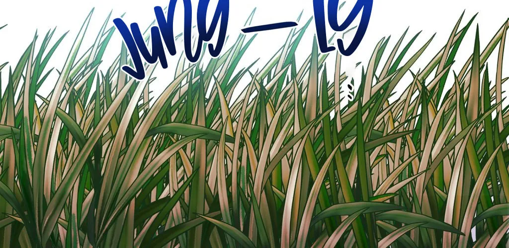 Read Once Married chapter 5 image 75 on Lezhin