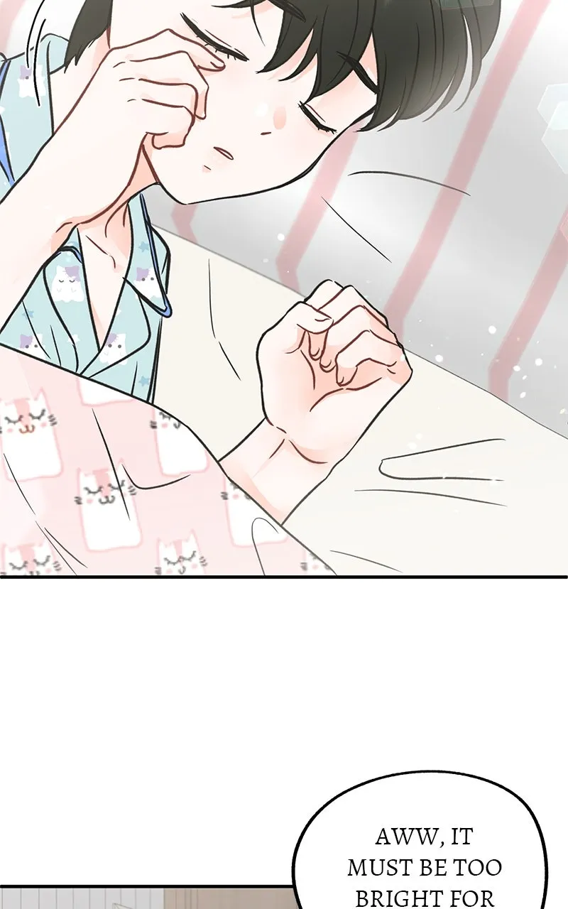 Read One and Only chapter 1 image 13 on Lezhin