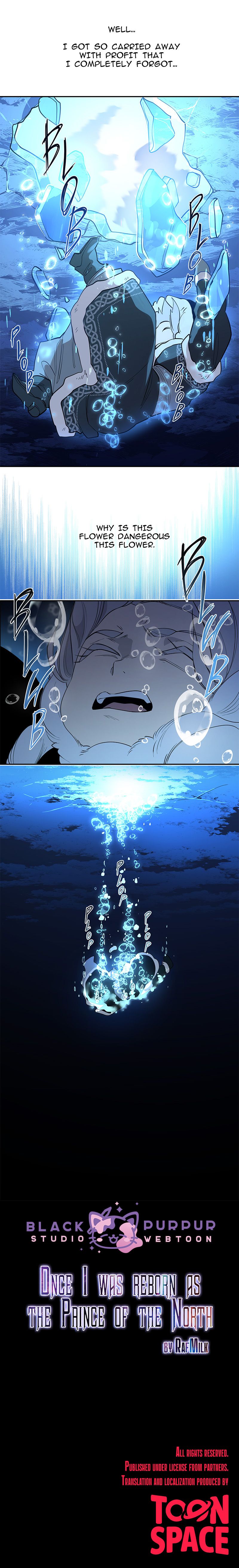 One day, I was reborn as the prince of the north Chapter 13 page 11 - 