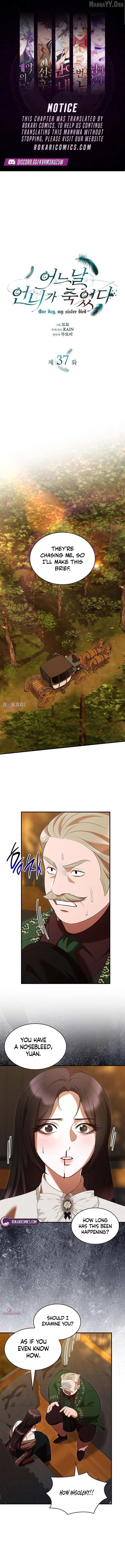 One Day My Sister Died Chapter 37 page 2 - 