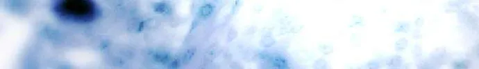 One Day, Suddenly, Seoul Is Chapter 129 page 49 - 