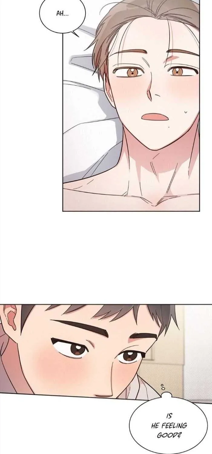 Read One Night Mate chapter 32 image 1 on Lezhin