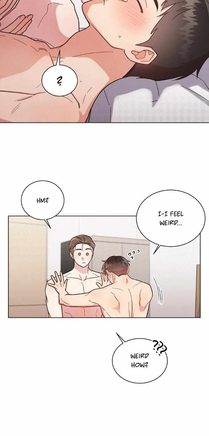 Read One Night Mate chapter 33 image 3 on Lezhin