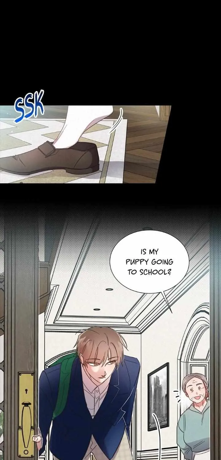 Read One Night Mate chapter 39 image 13 on Lezhin