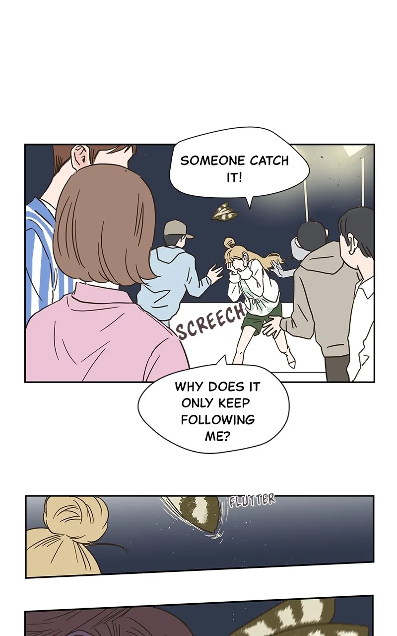One-of-a-Kind Romance Chapter 4 page 49 - 