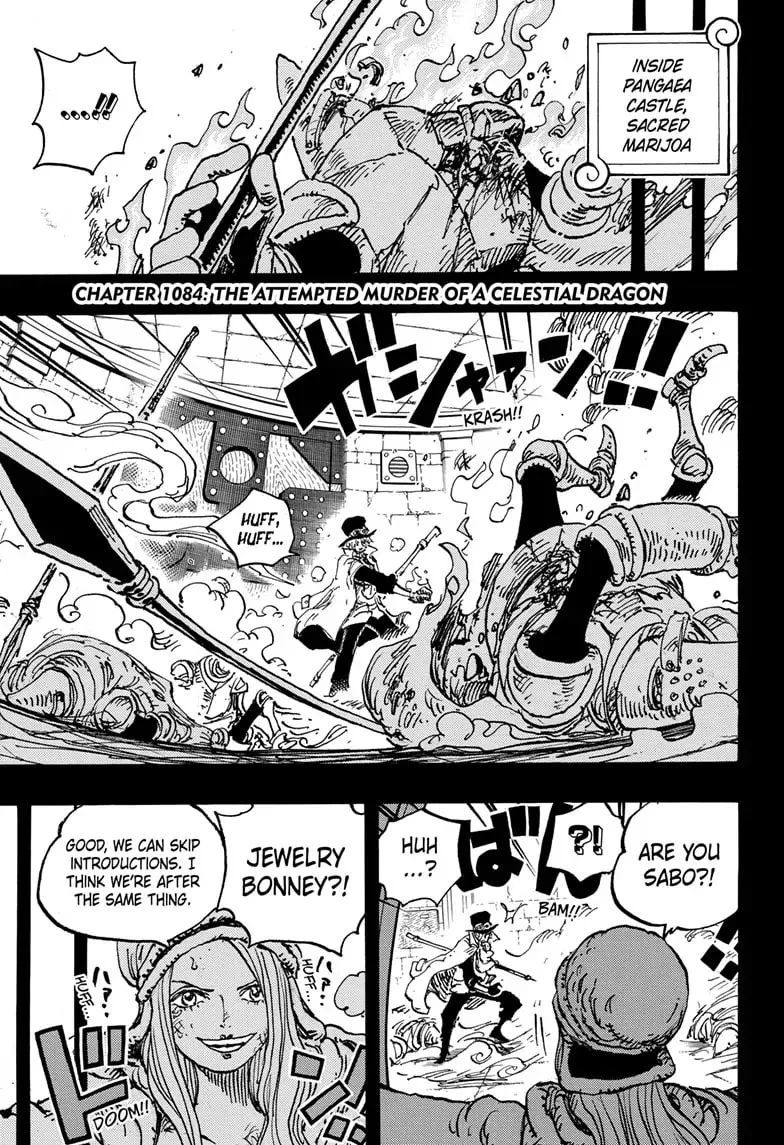 Read One Piece (Colored) chapter 1084 image 2 on Lezhin