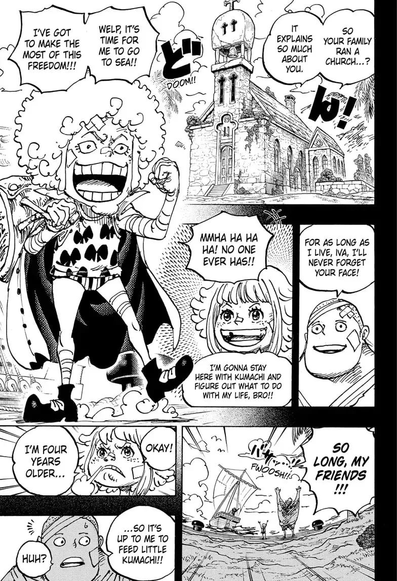 Read One Piece (Colored) chapter 1096 image 11 on Lezhin