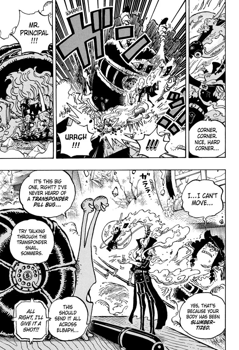 Read One Piece (Colored) chapter 1146 image 13 on Lezhin