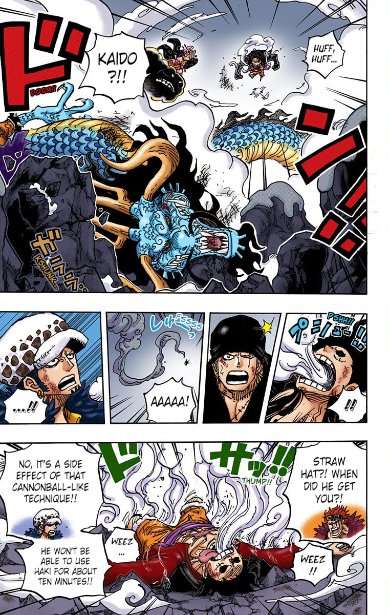 Read One Piece (Colored) chapter 1003 image 3 on Lezhin