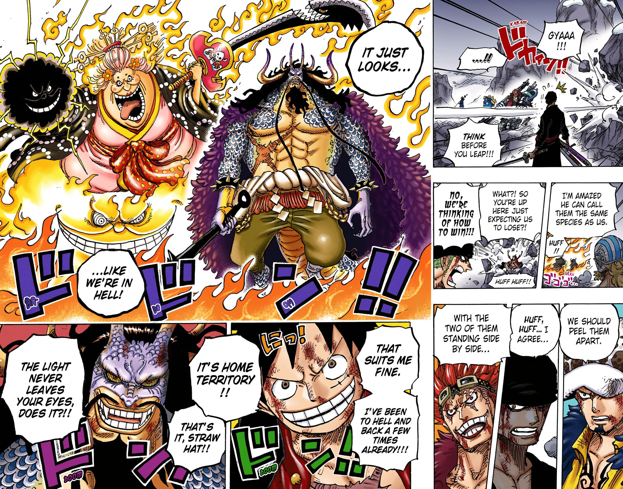 Read One Piece (Colored) chapter 1008 image 15 on Lezhin