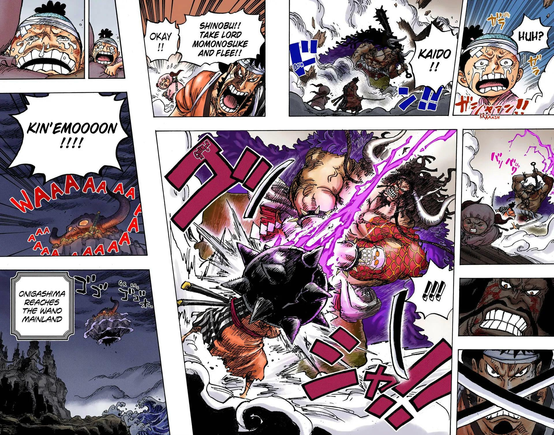 Read One Piece (Colored) chapter 1014 image 13 on Lezhin