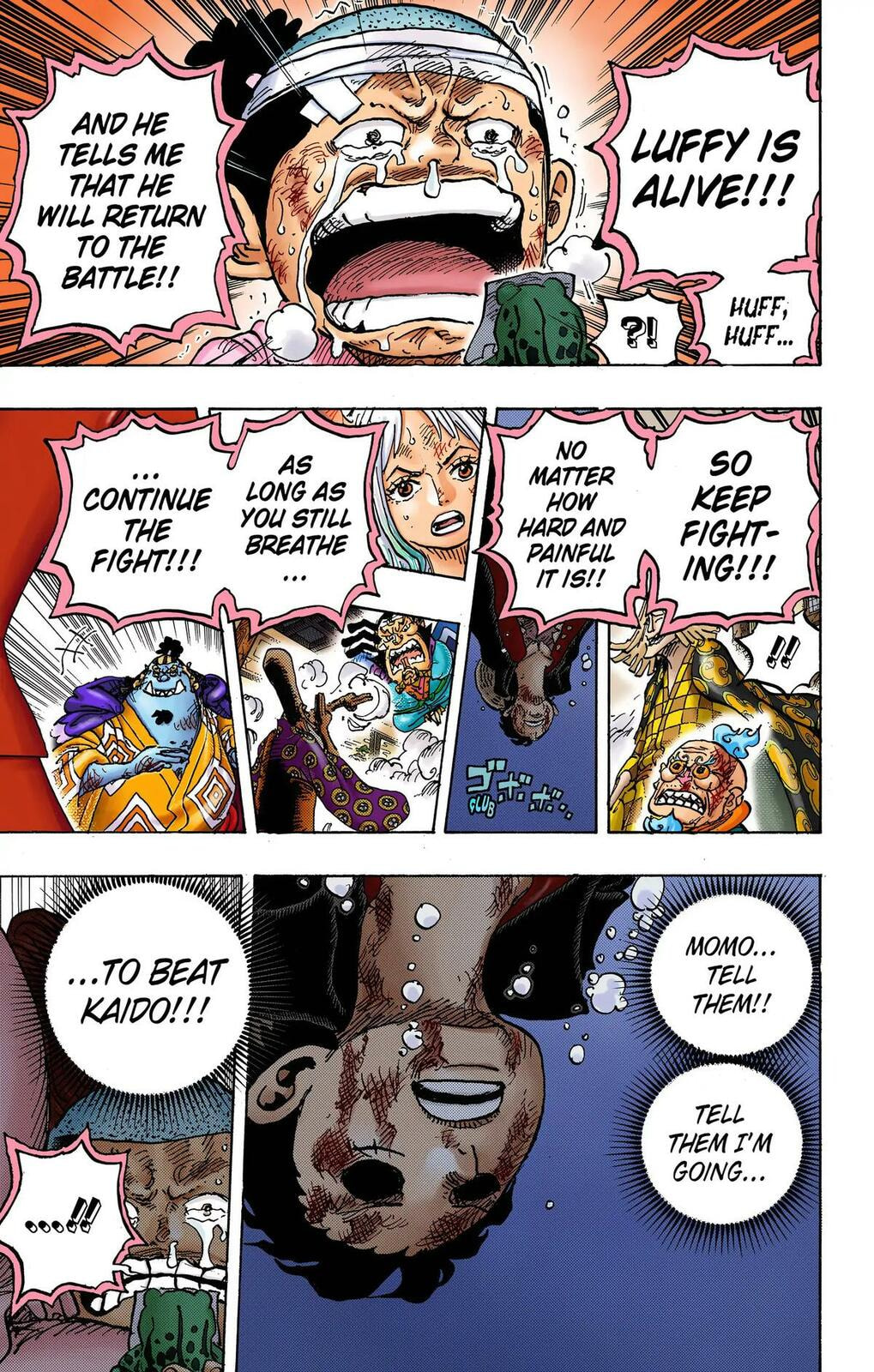Read One Piece (Colored) chapter 1015 image 11 on Lezhin