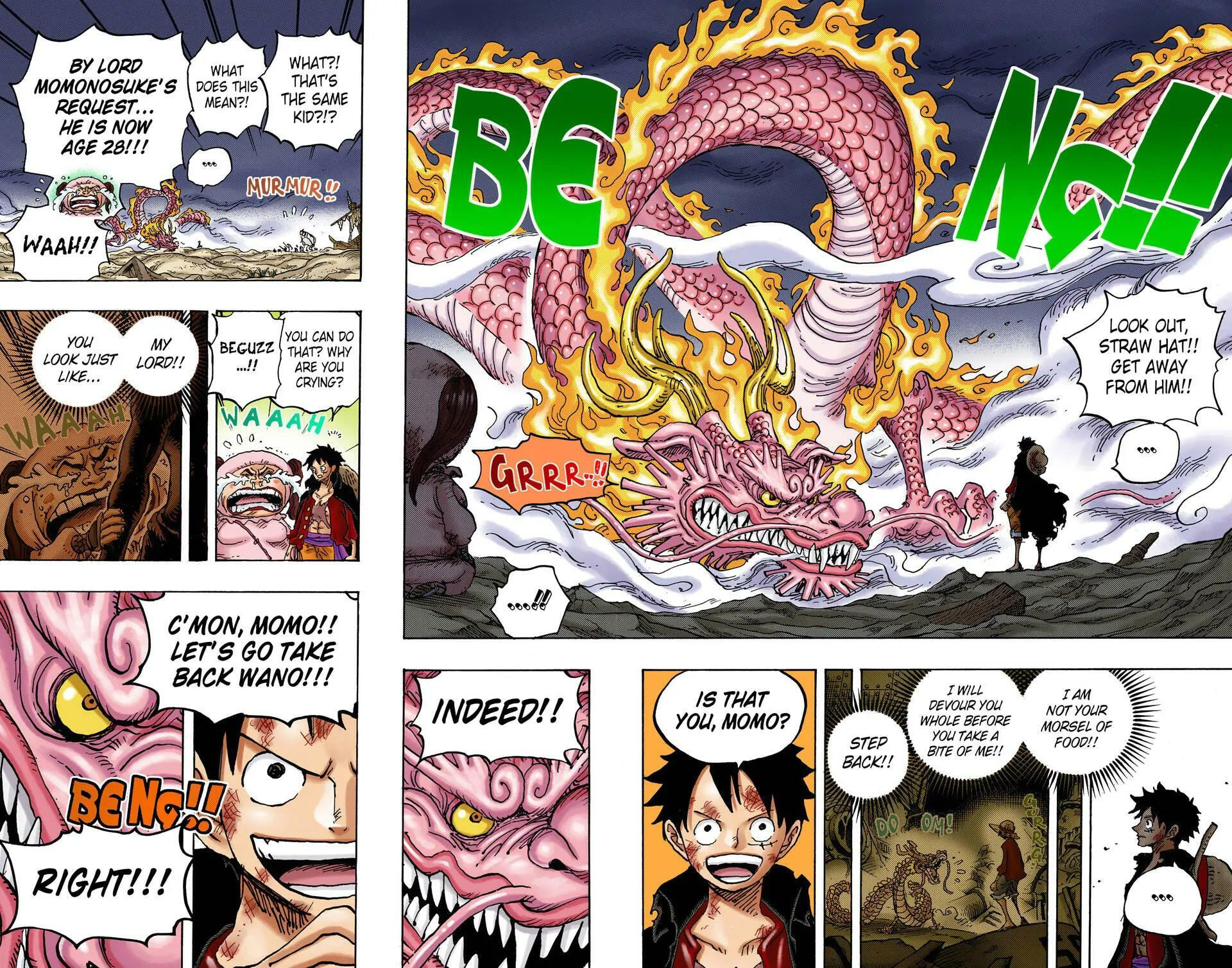 Read One Piece (Colored) chapter 1023 image 15 on Lezhin