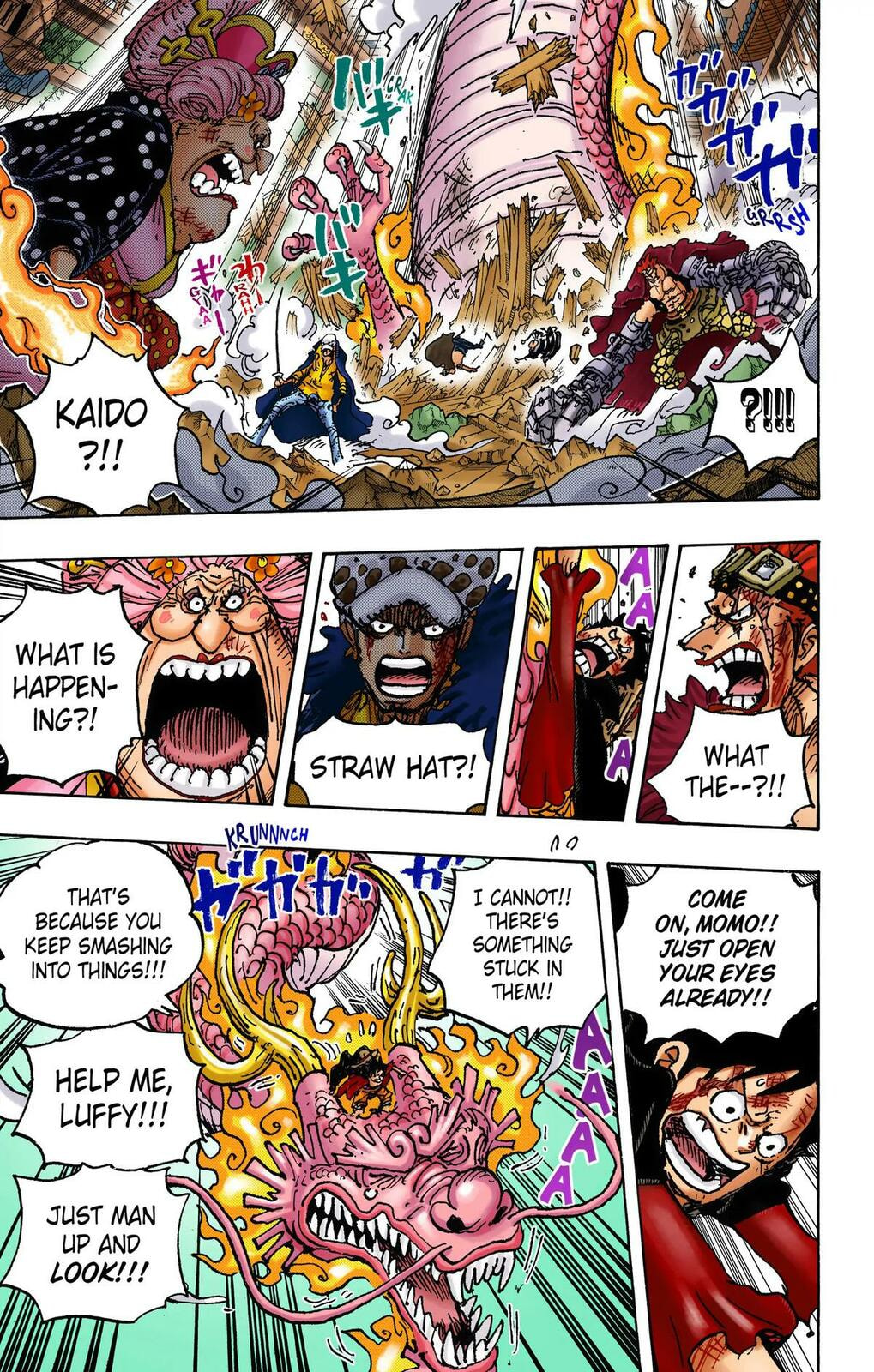 Read One Piece (Colored) chapter 1025 image 9 on Lezhin