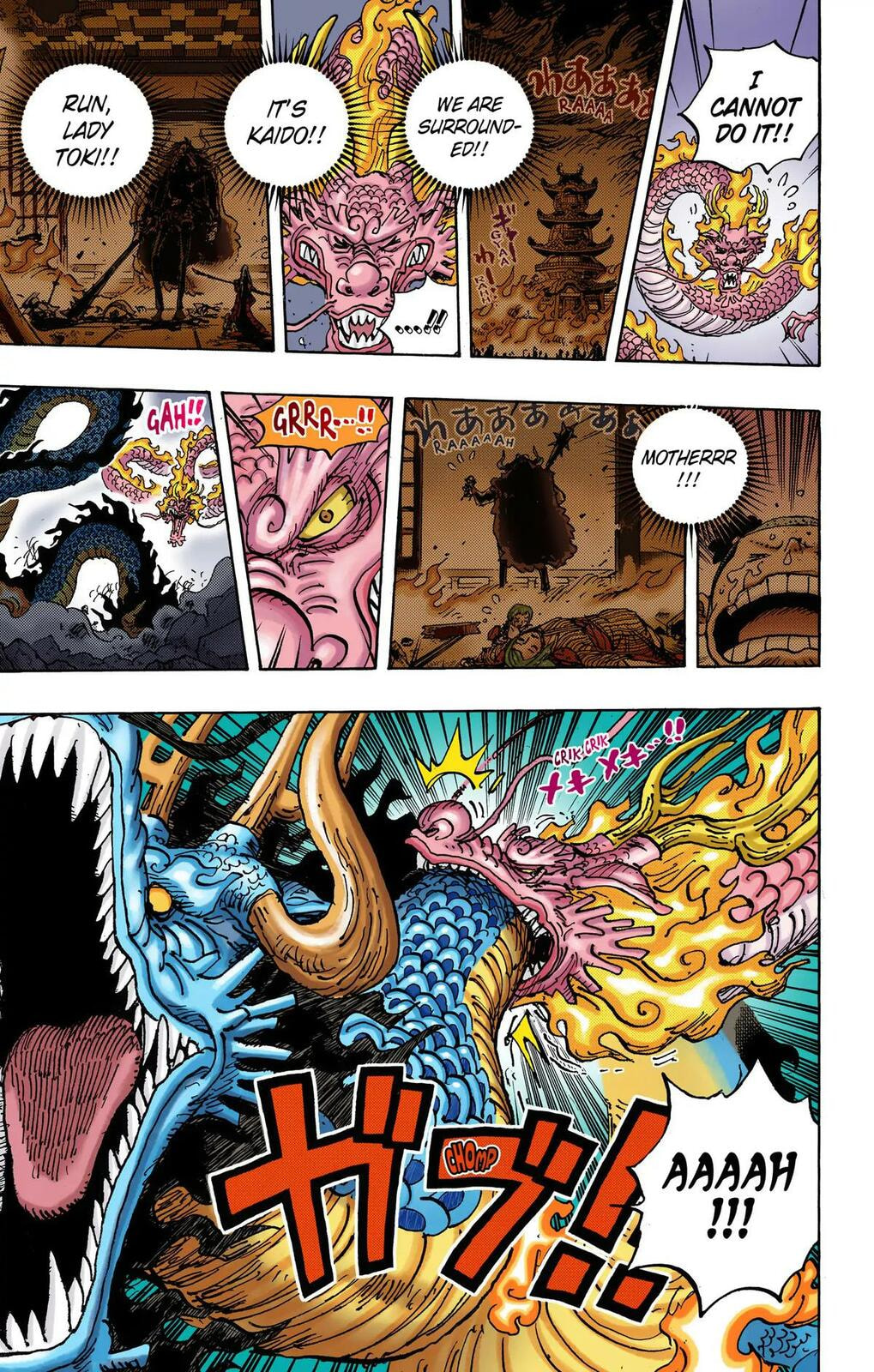 Read One Piece (Colored) chapter 1026 image 11 on Lezhin