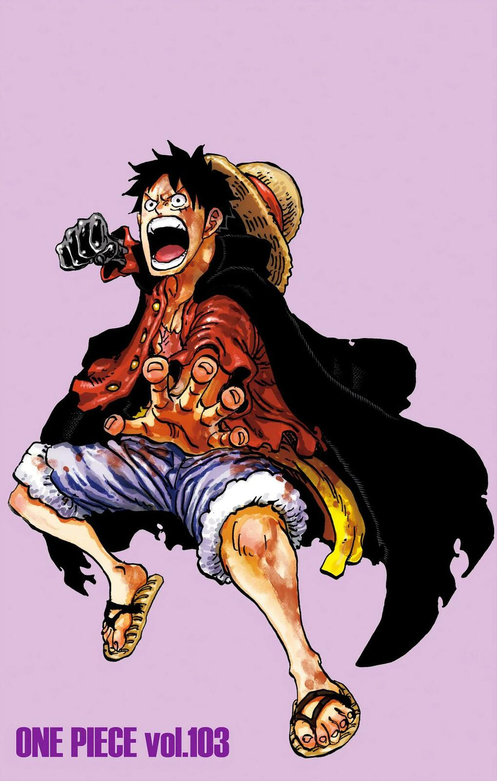 Read One Piece (Colored) chapter 1036 image 5 on Lezhin