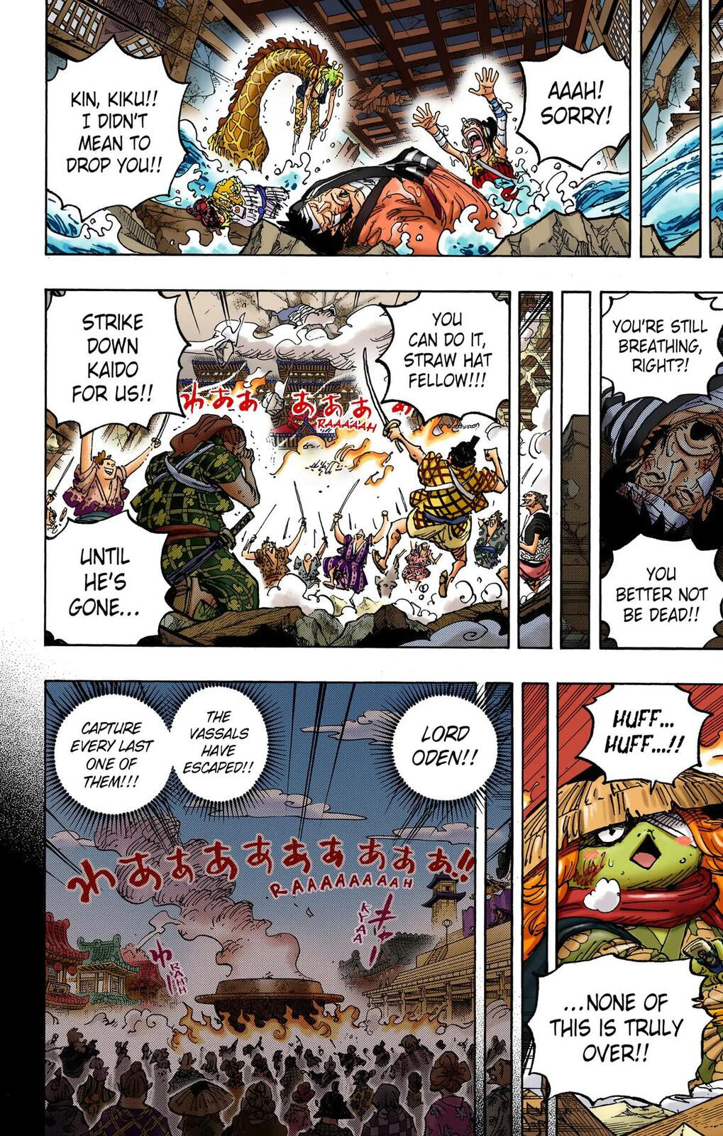 Read One Piece (Colored) chapter 1048 image 5 on Lezhin