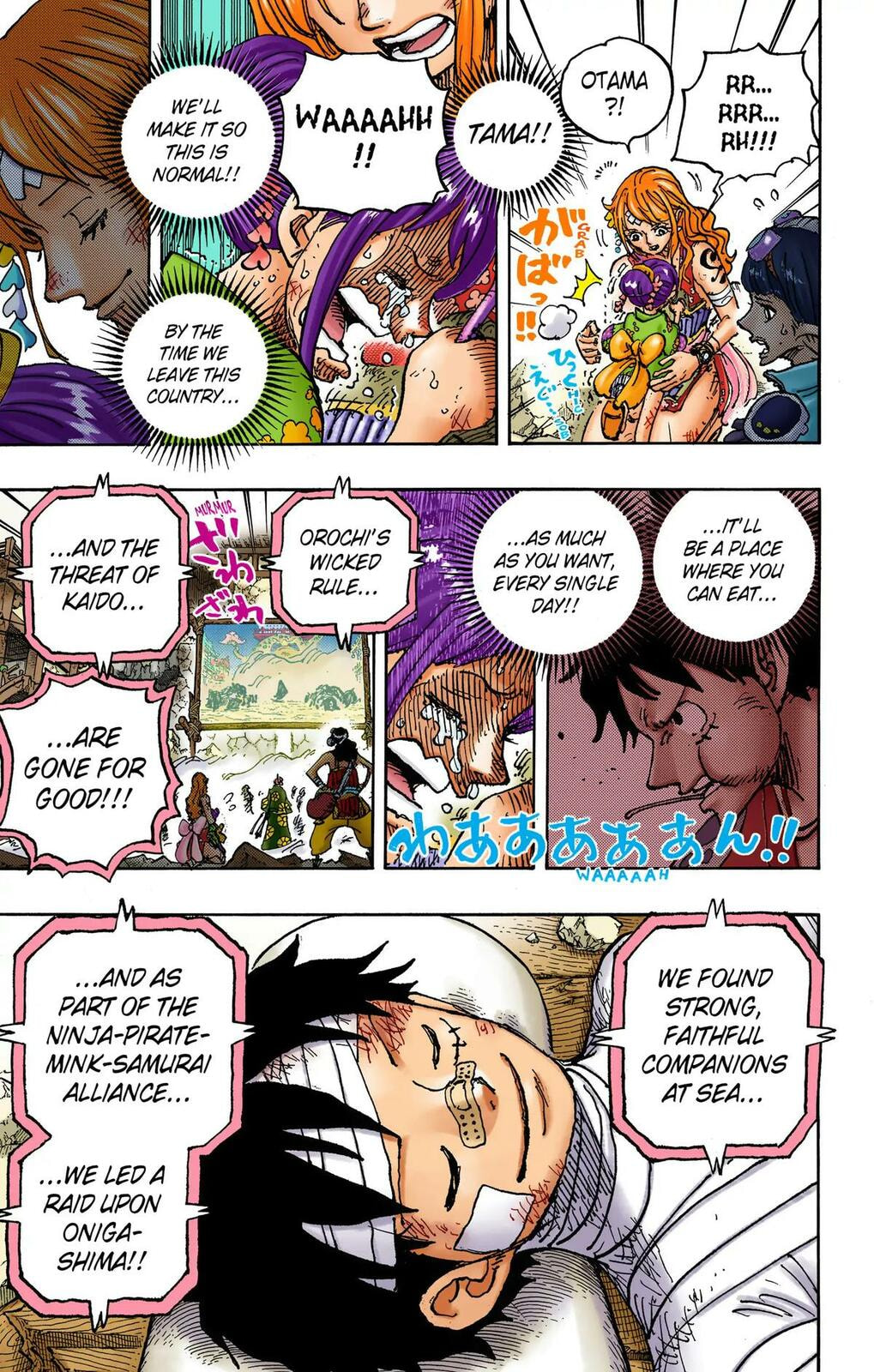 Read One Piece (Colored) chapter 1051 image 10 on Lezhin
