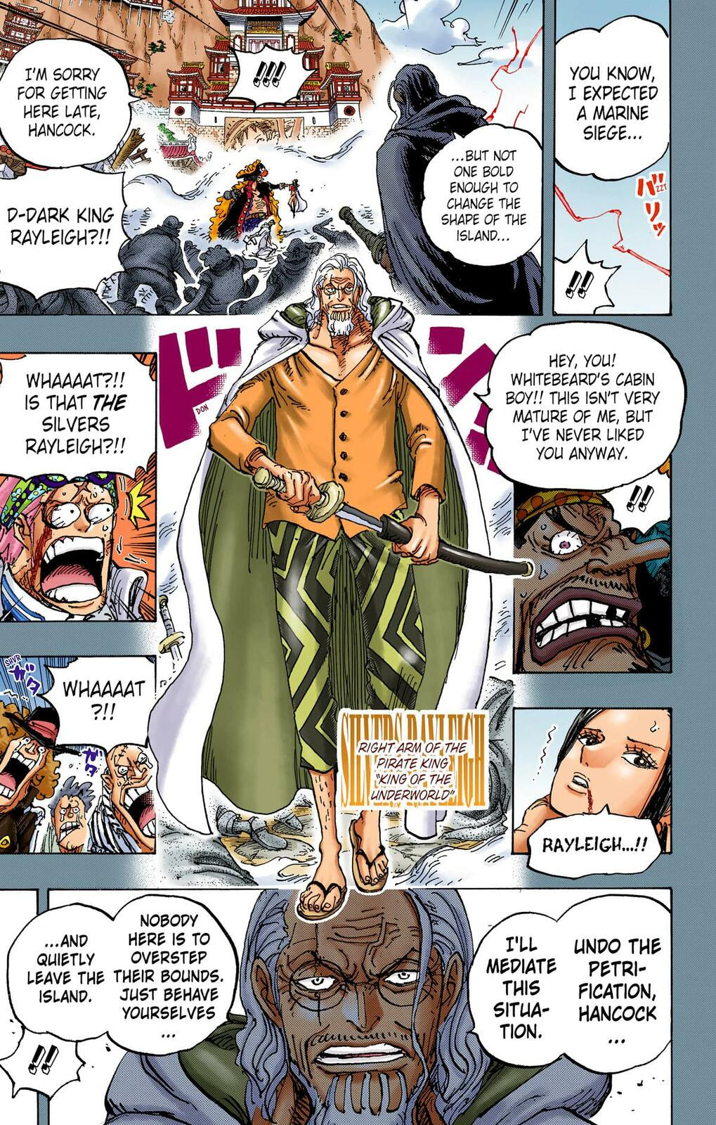 Read One Piece (Colored) chapter 1059 image 13 on Lezhin