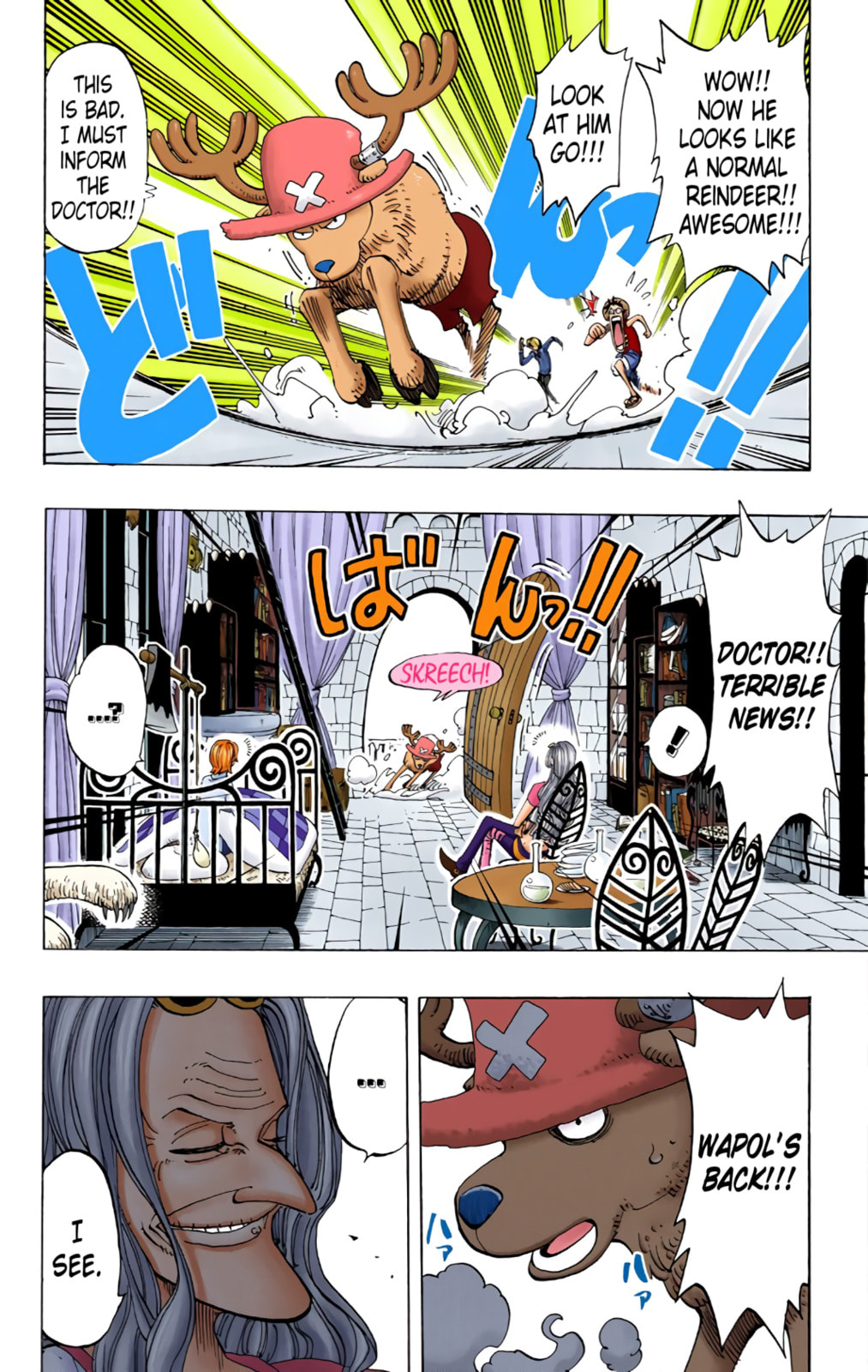 Read One Piece (Colored) chapter 141 image 3 on Lezhin