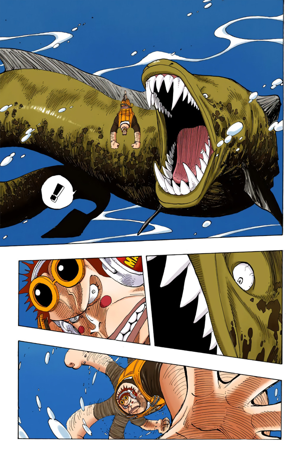 Read One Piece (Colored) chapter 220 image 14 on Lezhin