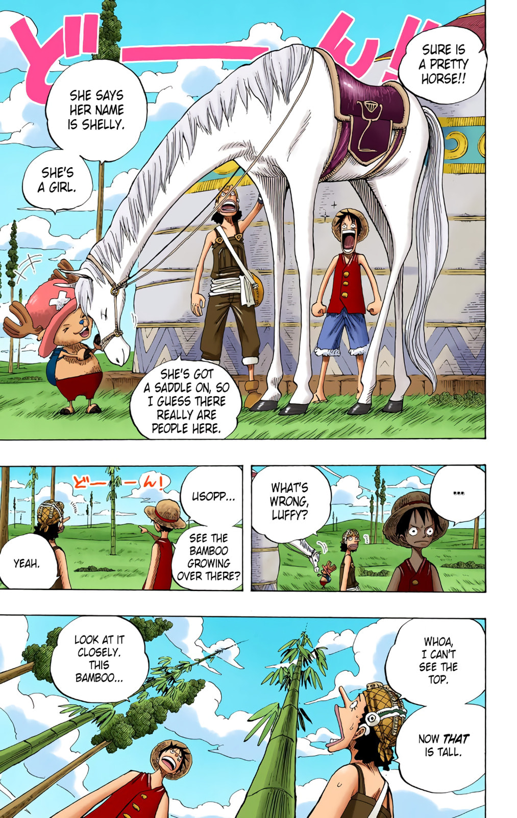 Read One Piece (Colored) chapter 304 image 11 on Lezhin