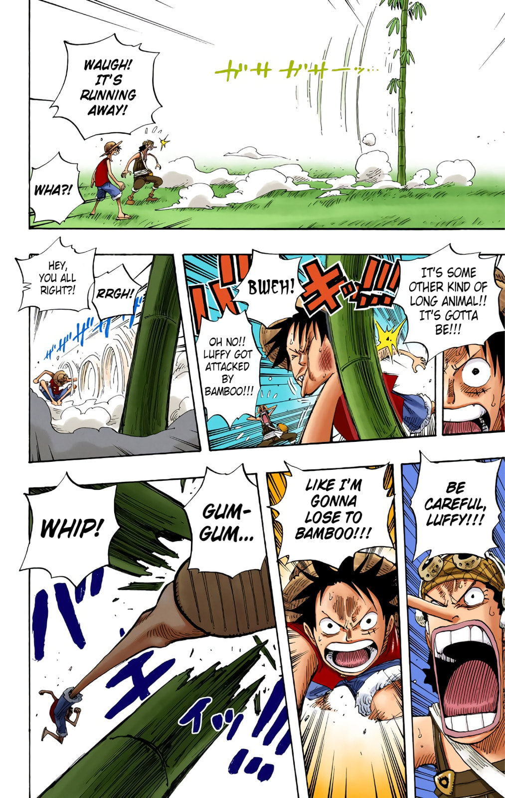 Read One Piece (Colored) chapter 304 image 12 on Lezhin