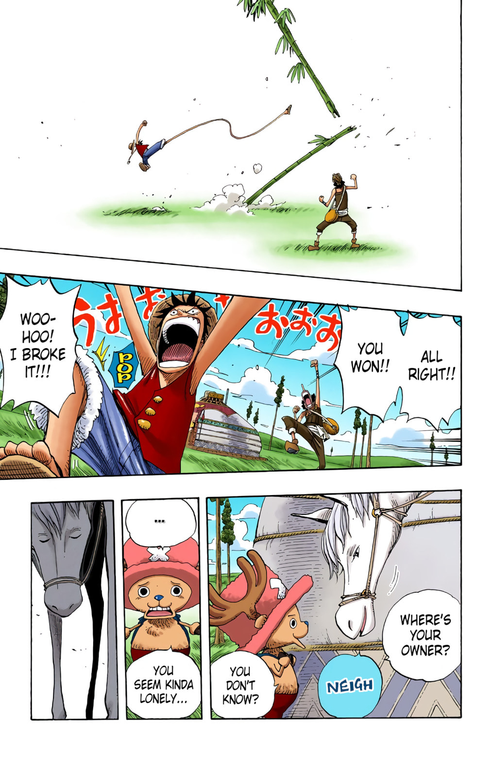 Read One Piece (Colored) chapter 304 image 13 on Lezhin