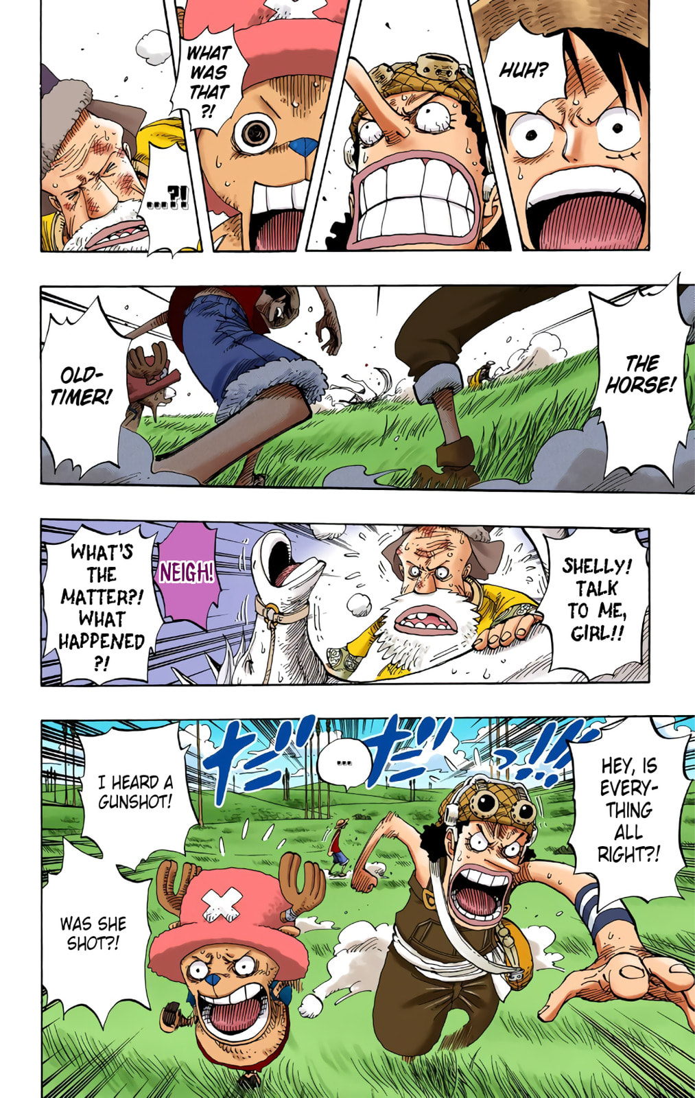 Read One Piece (Colored) chapter 305 image 13 on Lezhin