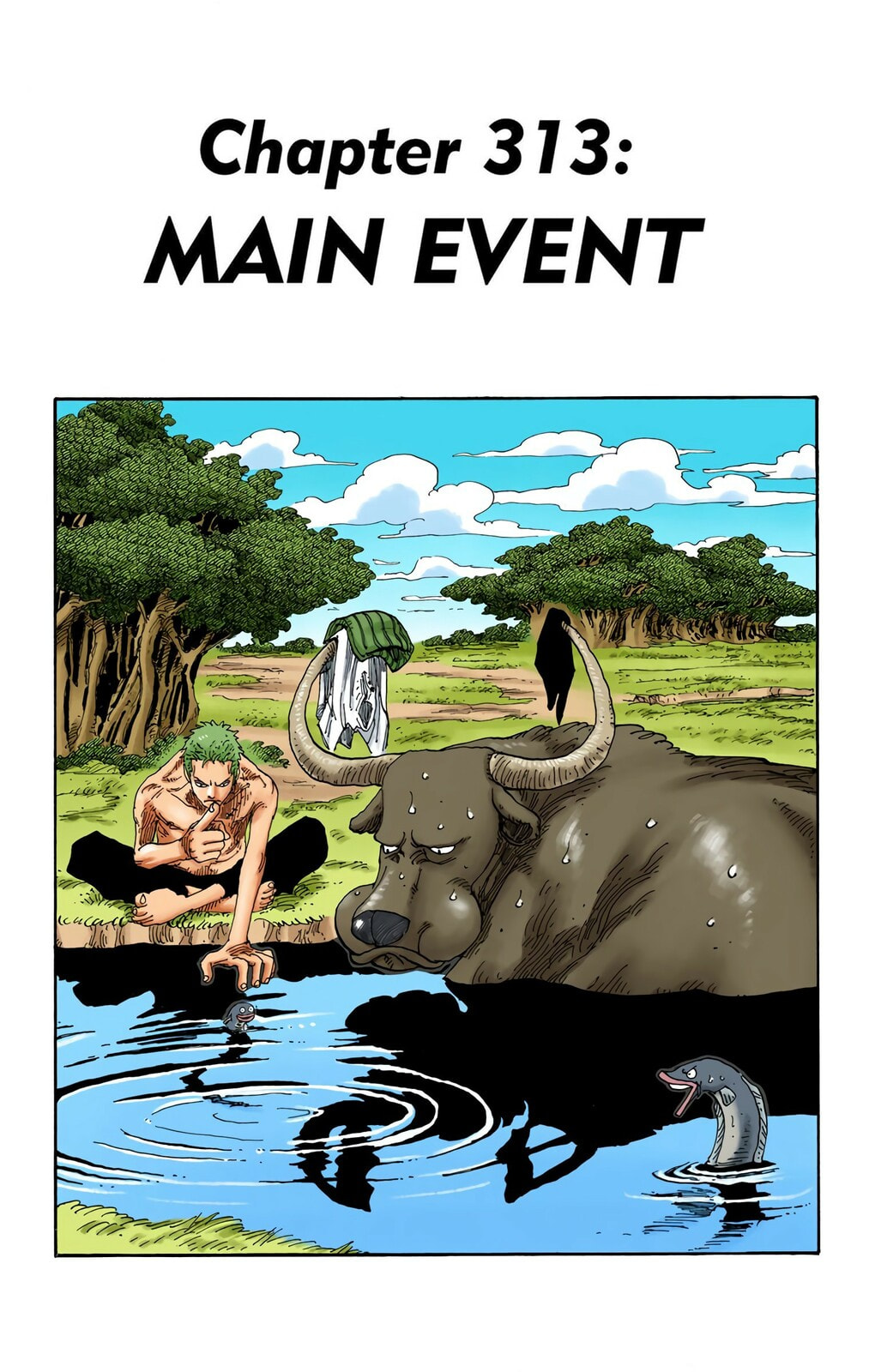 Read One Piece (Colored) chapter 313 image 0 on Lezhin