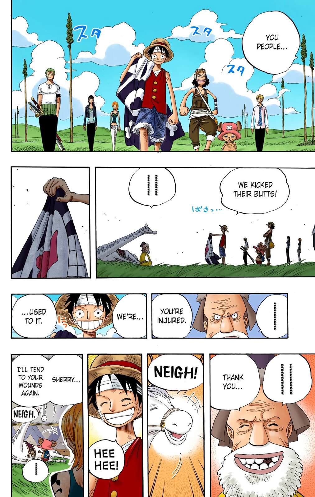 Read One Piece (Colored) chapter 318 image 15 on Lezhin