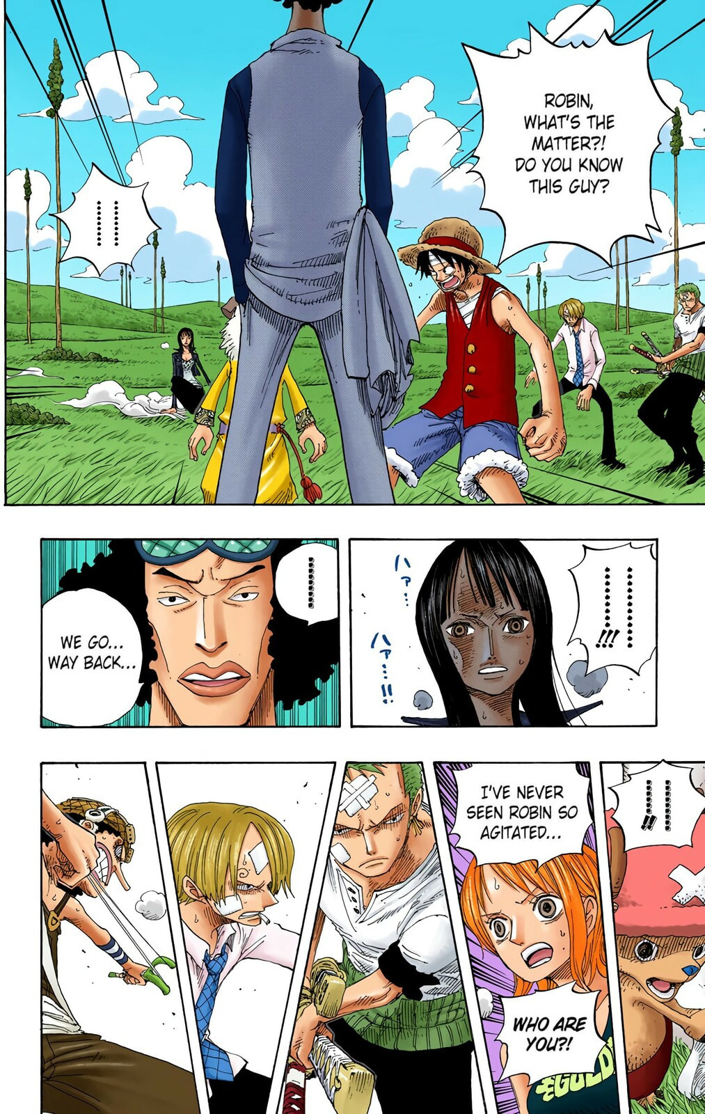 Read One Piece (Colored) chapter 319 image 1 on Lezhin