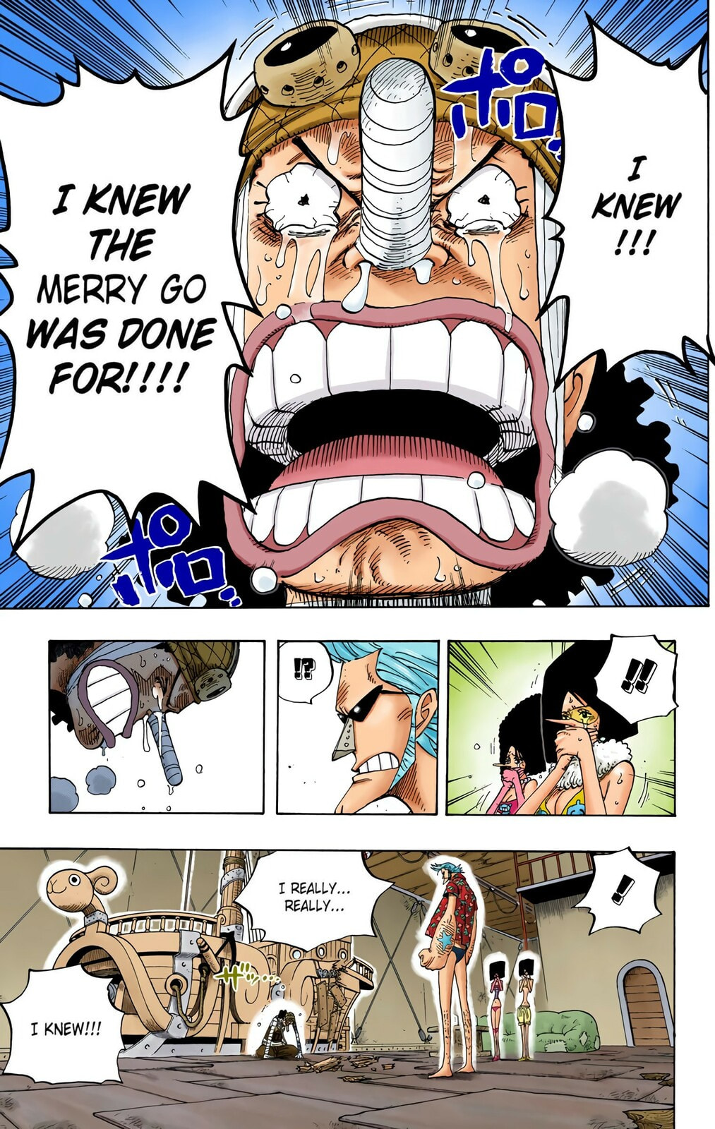 Read One Piece (Colored) chapter 351 image 12 on Lezhin