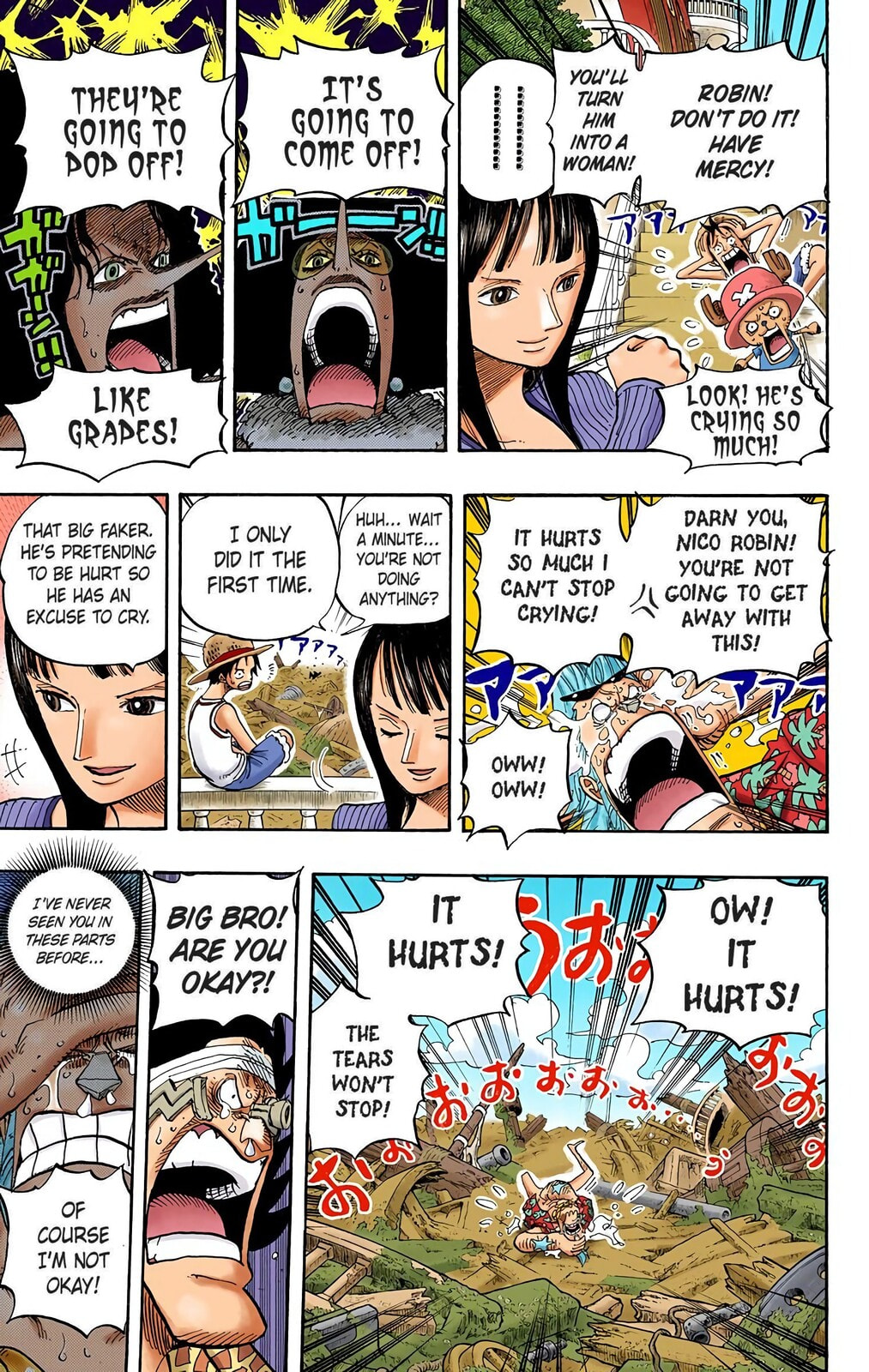 Read One Piece (Colored) chapter 437 image 12 on Lezhin