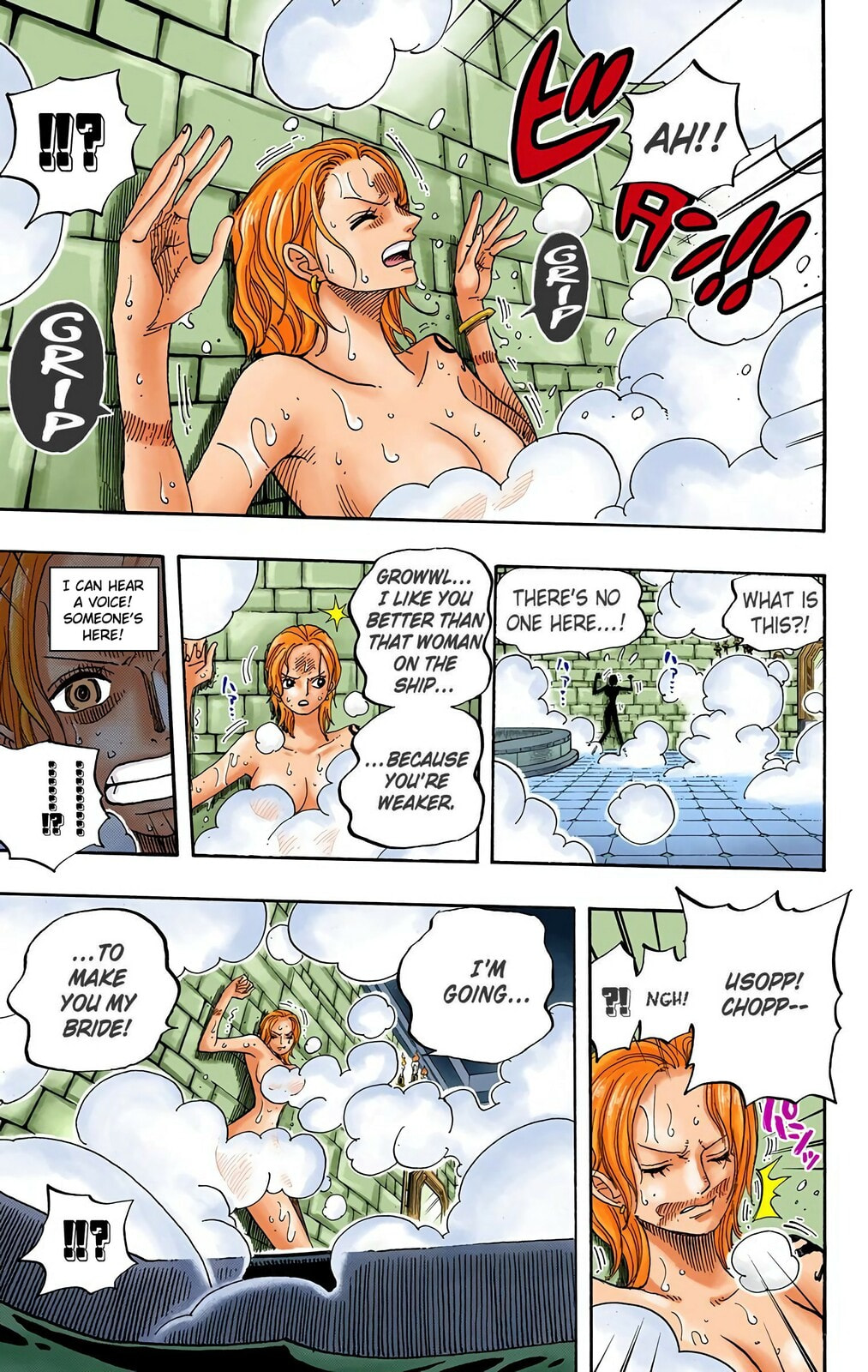 Read One Piece (Colored) chapter 446 image 14 on Lezhin
