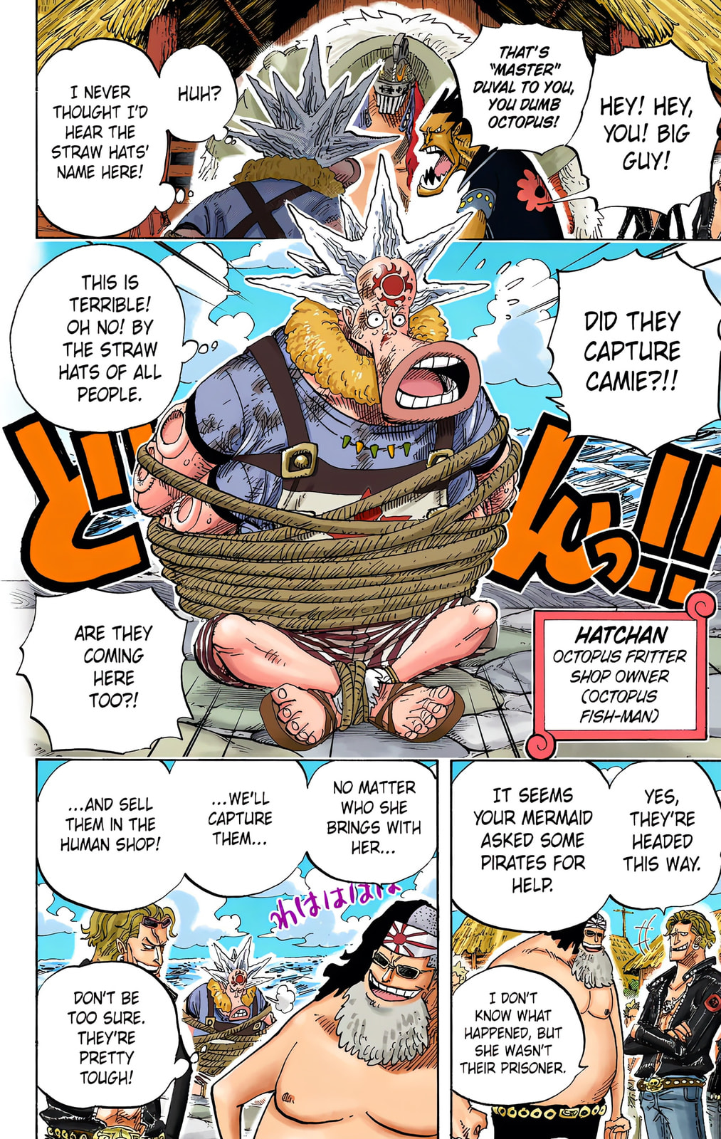 Read One Piece (Colored) chapter 492 image 7 on Lezhin
