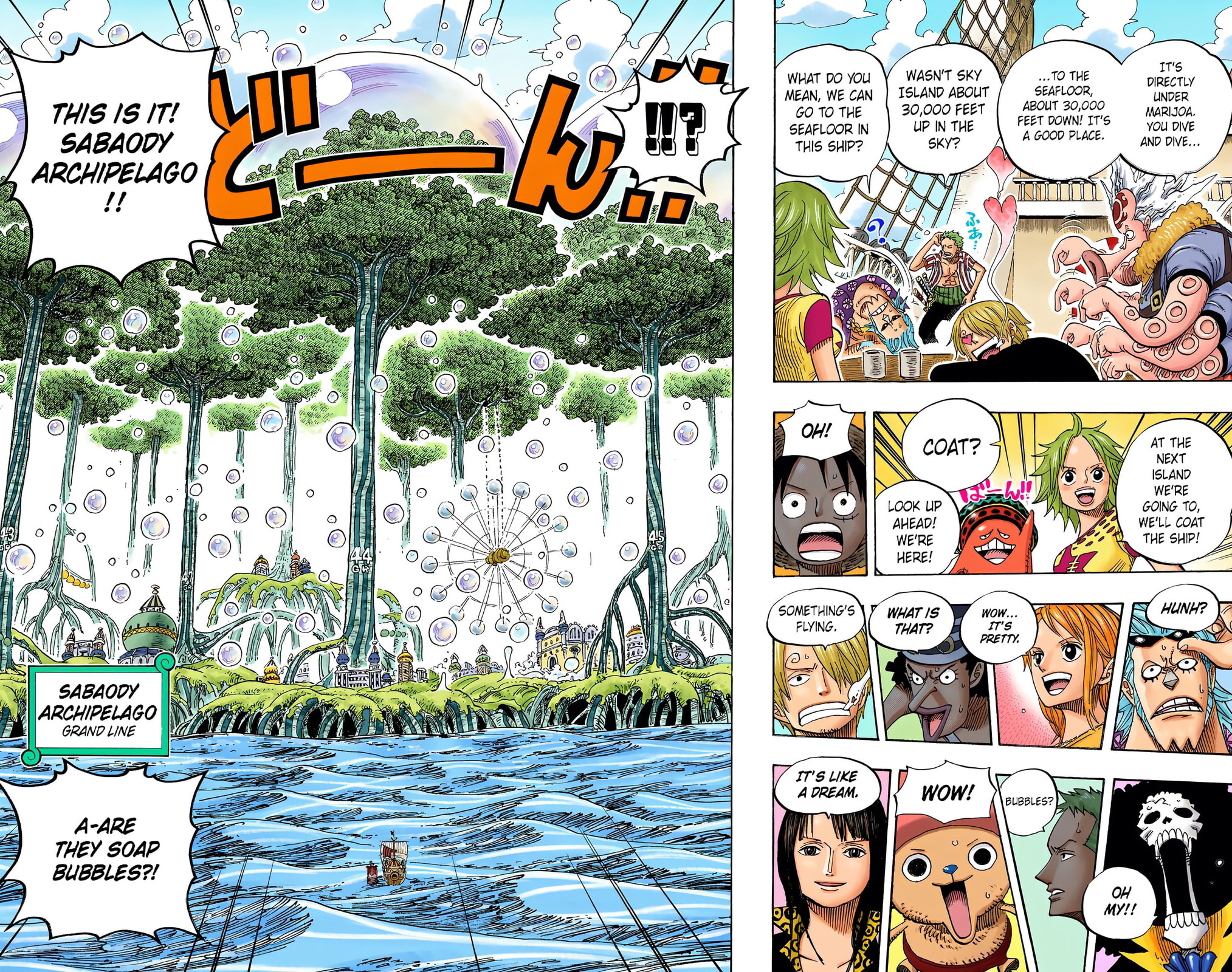 Read One Piece (Colored) chapter 496 image 11 on Lezhin