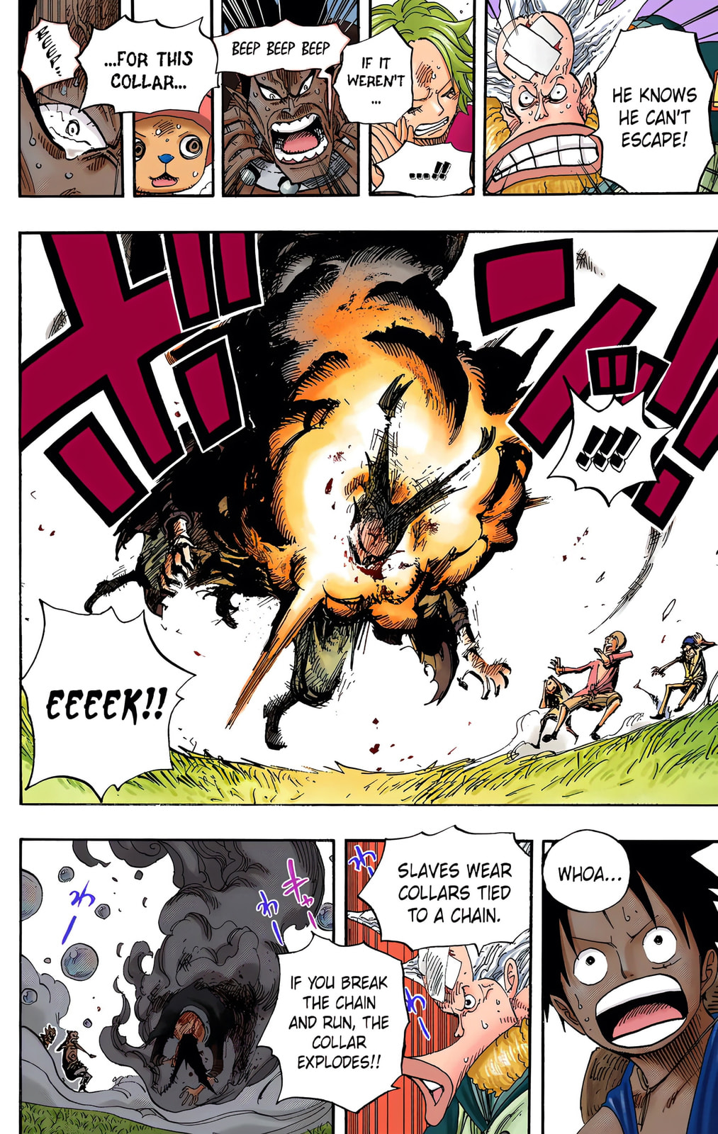 Read One Piece (Colored) chapter 497 image 13 on Lezhin