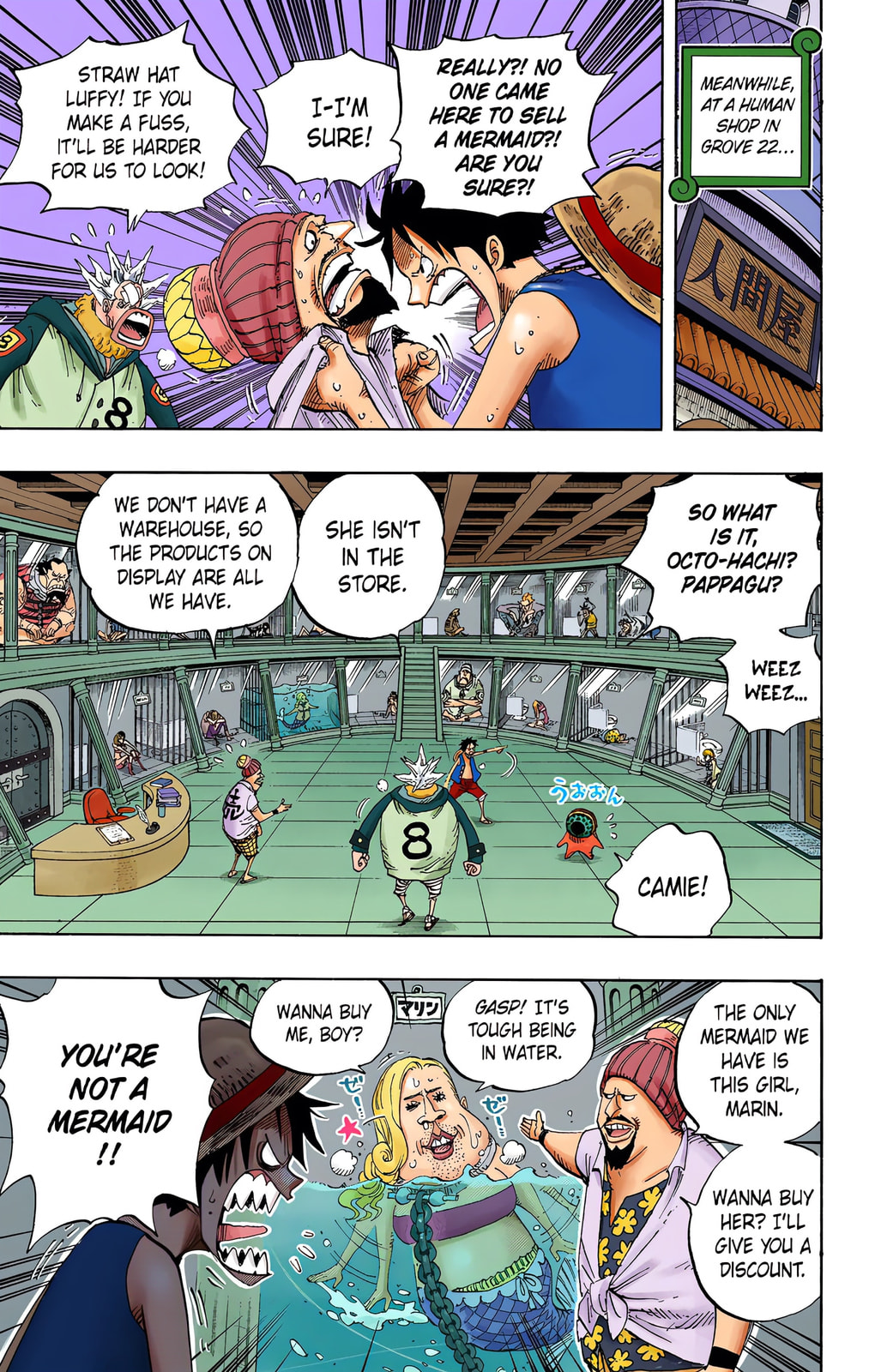Read One Piece (Colored) chapter 500 image 6 on Lezhin