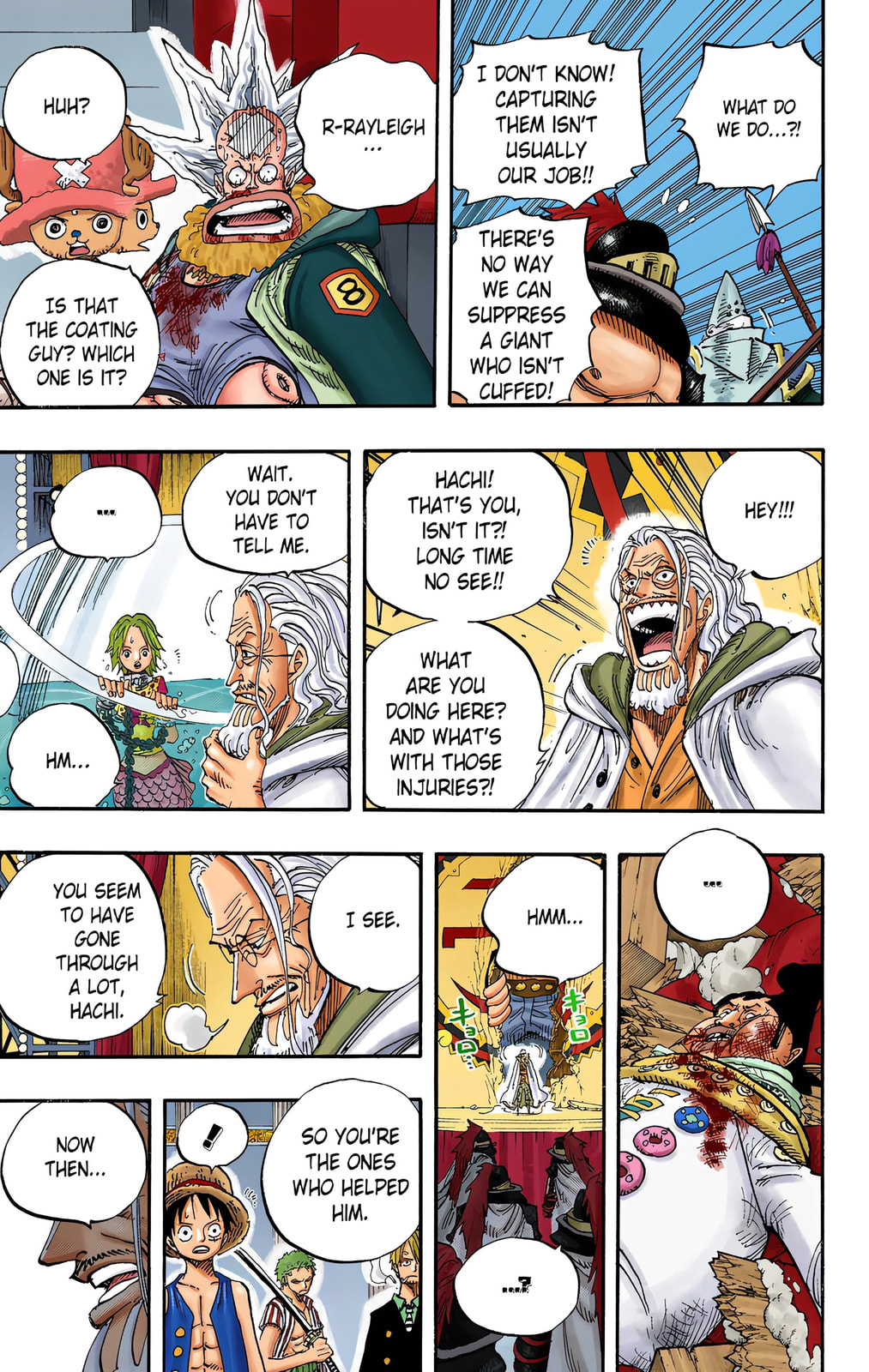 Read One Piece (Colored) chapter 503 image 16 on Lezhin