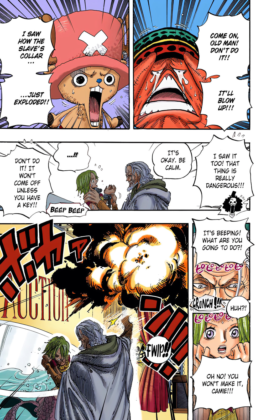 Read One Piece (Colored) chapter 504 image 8 on Lezhin